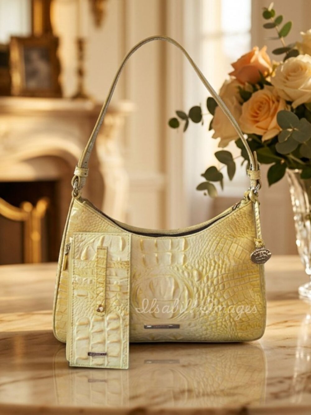 NWOT Brahmin Esme Purse and Matching Wallet in Sunbeam